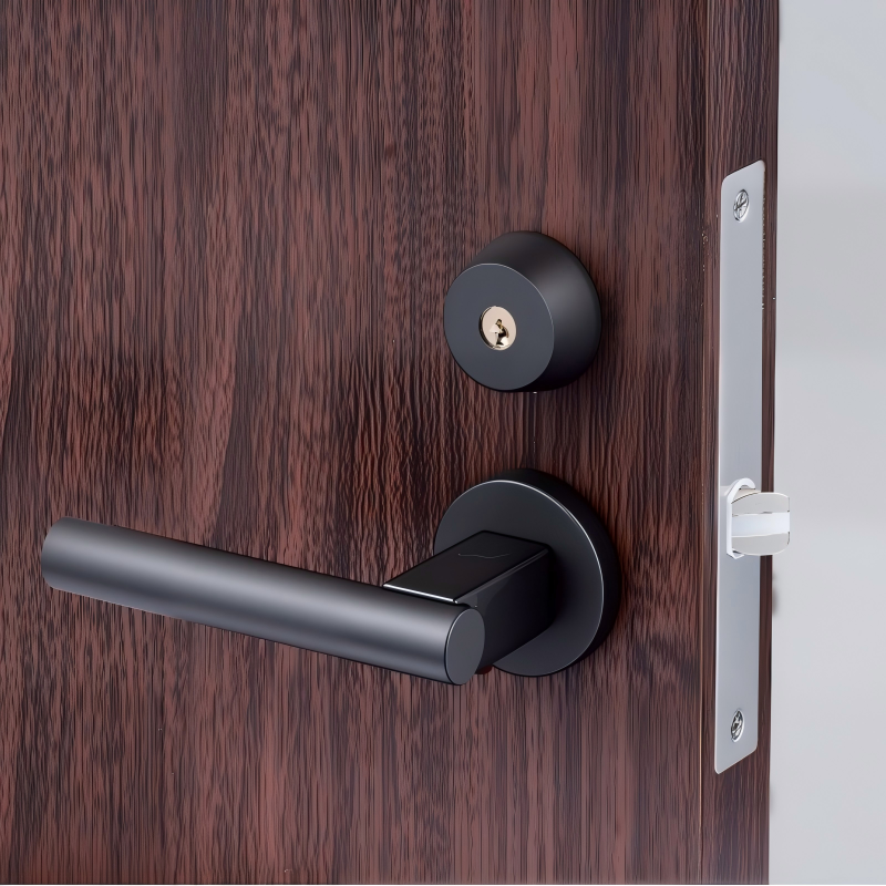 custom OEM mechanical mortise lock manufacturer for project hardware
